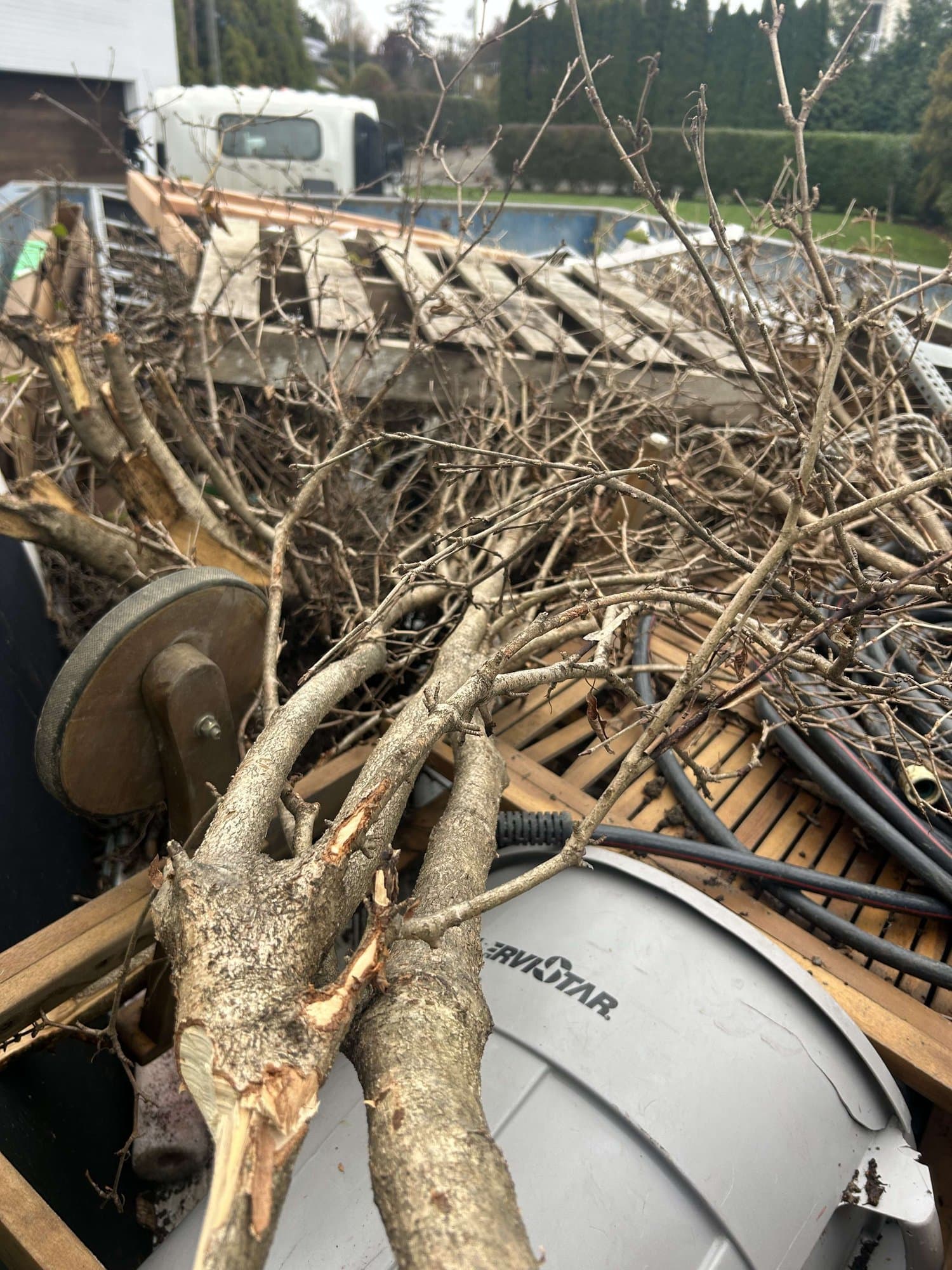 tree branches loaded by Grizzly Junk Pros