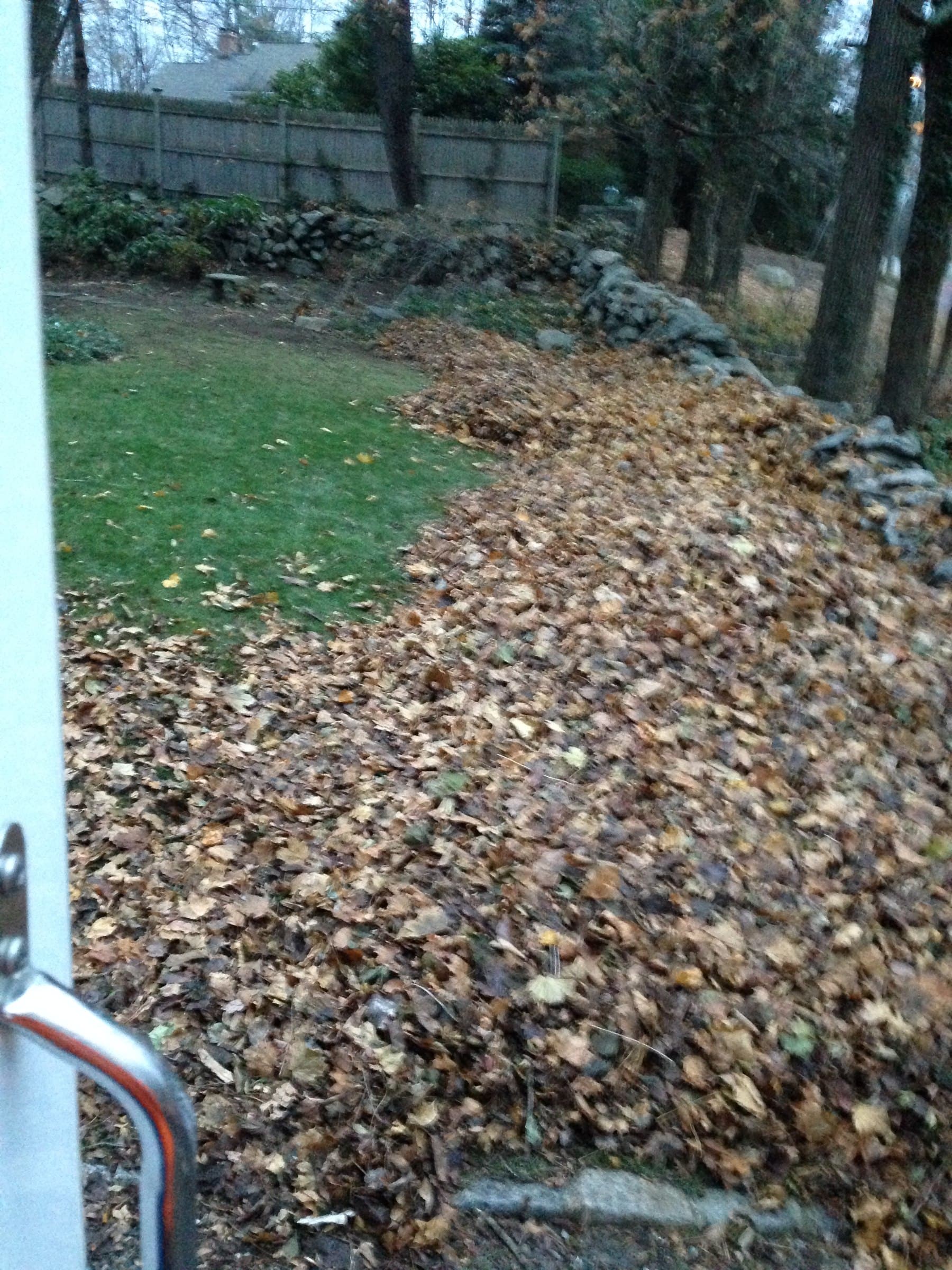 yard debris removal by Grizzly Junk Pros