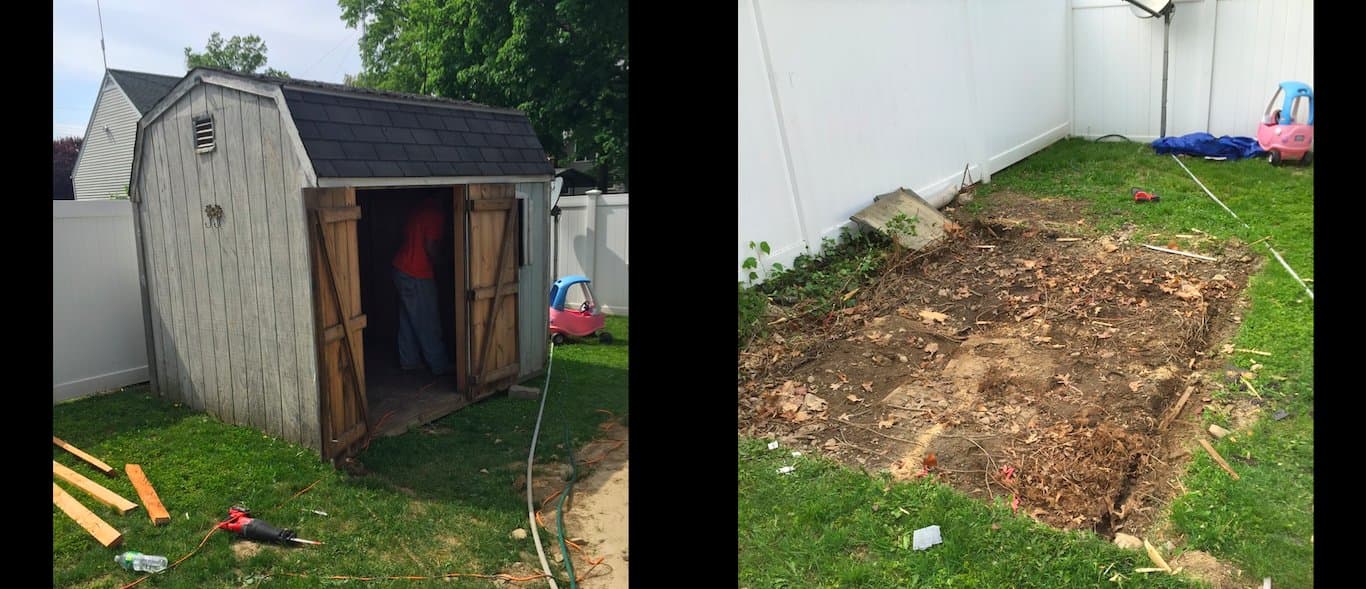 Backyard shed demolition in progress — intact structure being emptied, then torn down