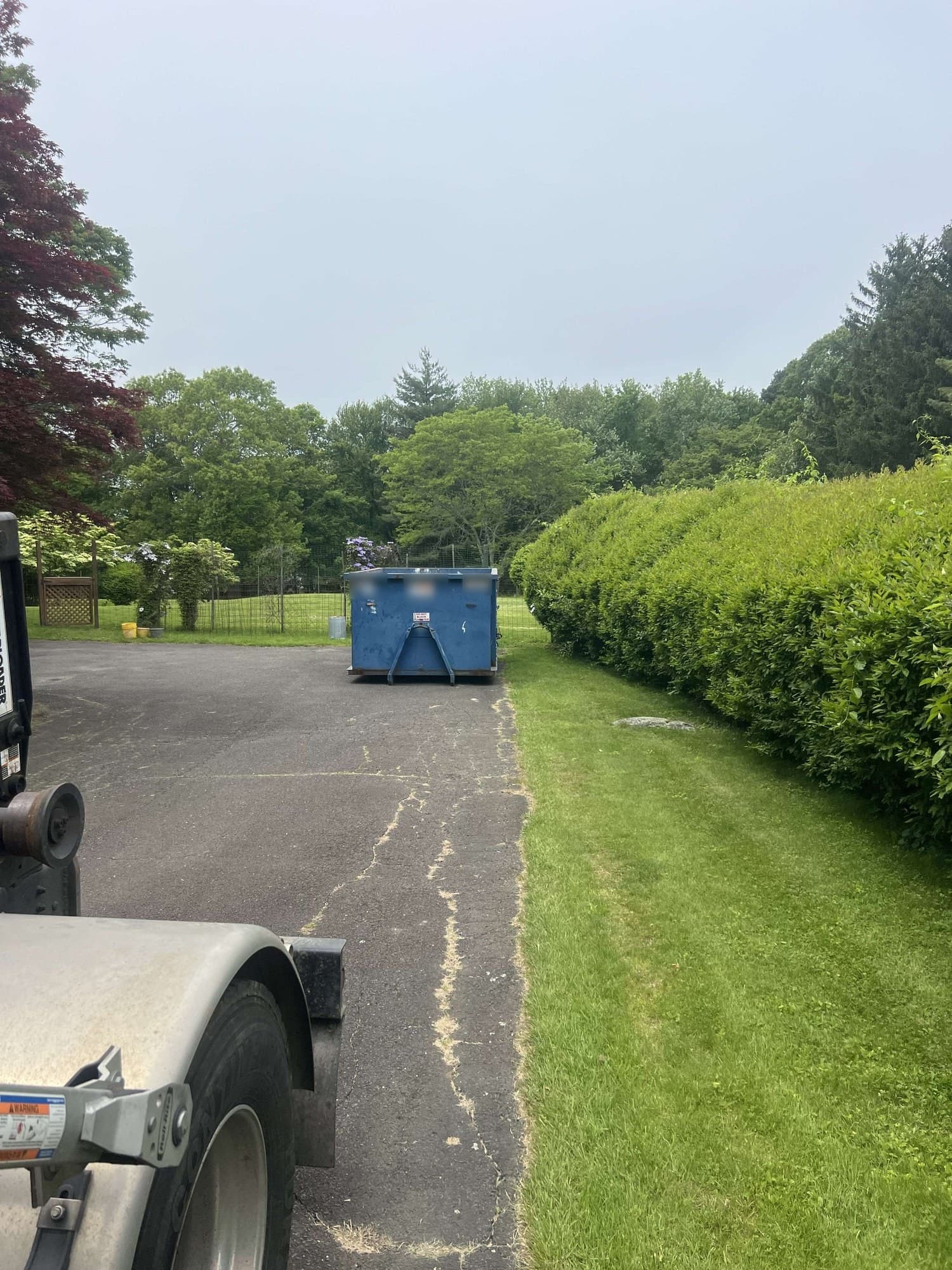 Blue roll-off dumpster at the end of a hedge-lined driveway