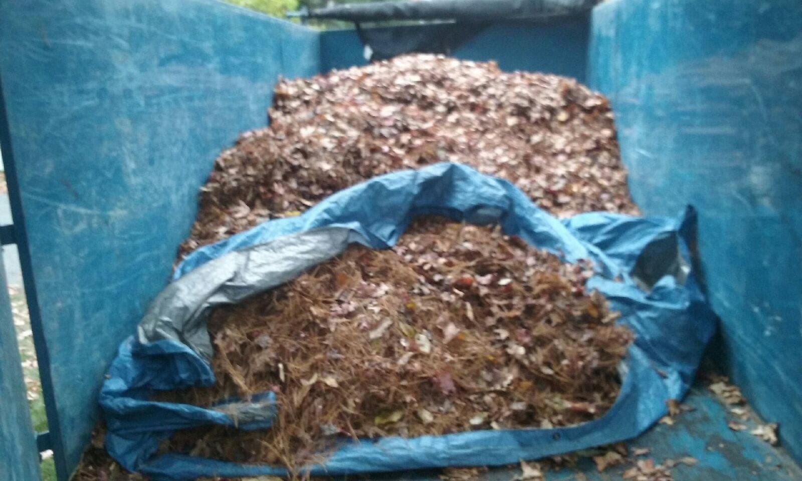 dumpster debris disposal by Grizzly Junk Pros